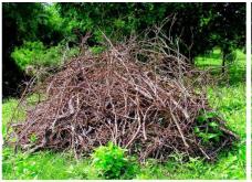 Accumulation of Brush