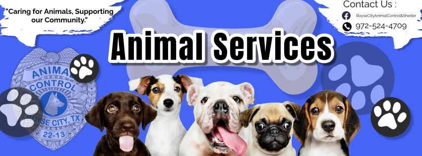 White Pet Facebook Cover Photo (3)